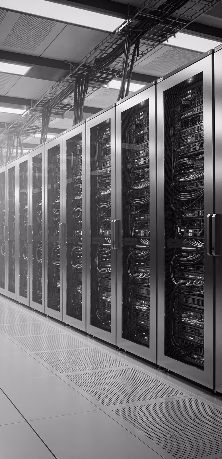 Rows of server racks
